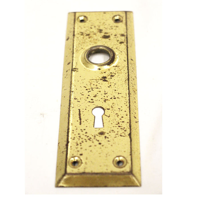 Antique Brass Door Plate Shiny Brass Hardware 7 x 2 1/4"