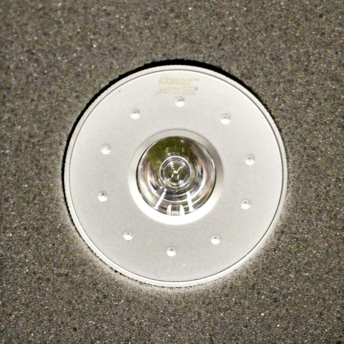Coast LED Lenser Replacement Bulbs 12V 8004 BULK LOT 7 Set Spotlights COLORED