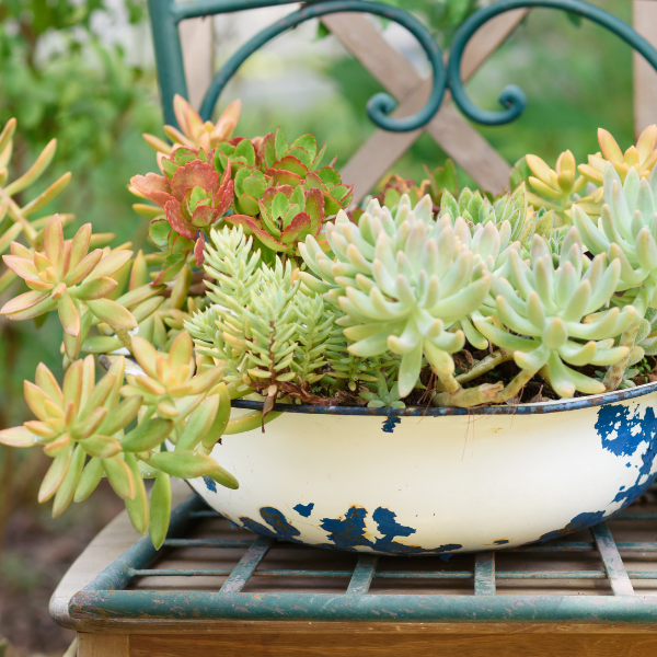 Upcycle an Old Sink or Tub Into a Garden Planter