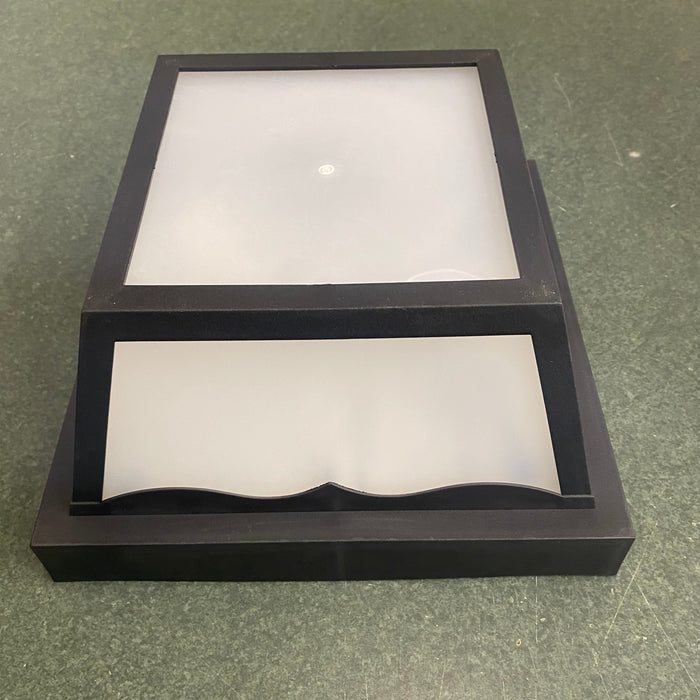 Incon Black and White Ceiling Mount Light